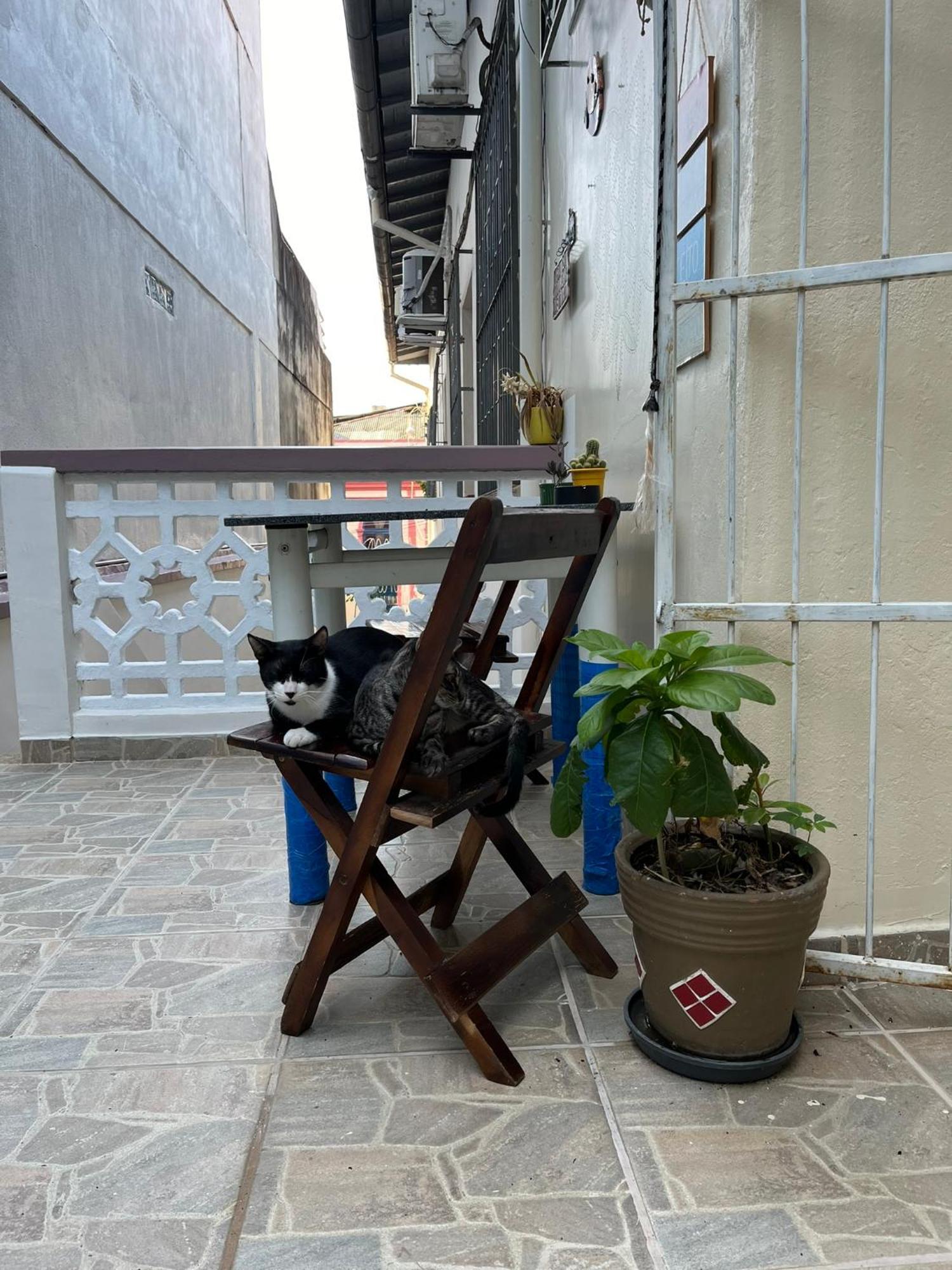 מנאוס Aldeia Hostel מראה חיצוני תמונה